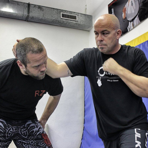 Red Zone Adaptive Striking Seminar in Mundelein, IL